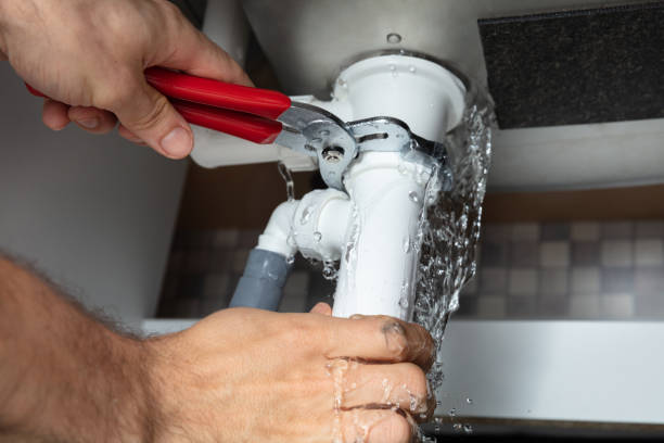Carpet water damage restoration in Waterloo, IL