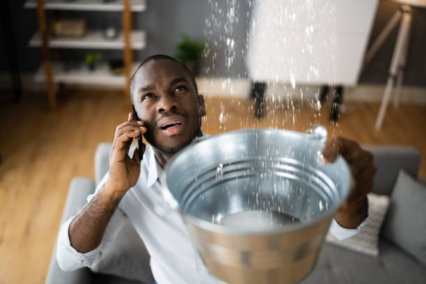 Best Emergency water damage restoration  in Waterloo, IL