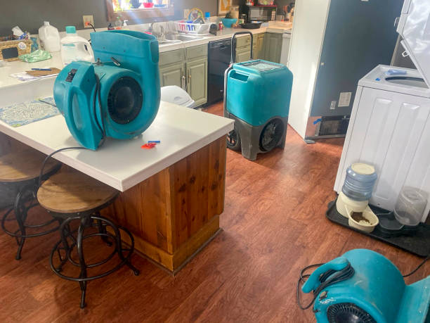 Best Emergency water damage restoration  in Waterloo, IL