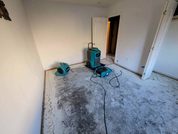 Water damage restoration mold remediation in Waterloo, IL