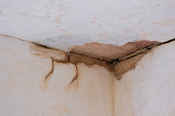Best Flood restoration services  in Waterloo, IL