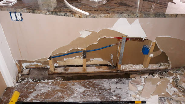 Best Local water damage restoration  in Waterloo, IL