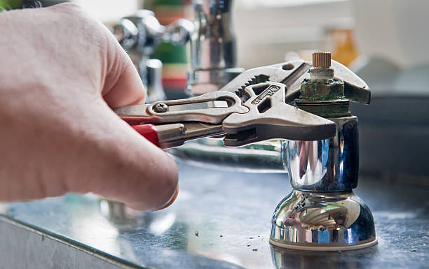 Best Water damage cleanup near me  in Waterloo, IL