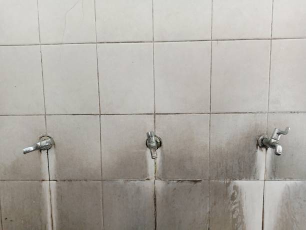 Carpet water damage restoration in Waterloo, IL